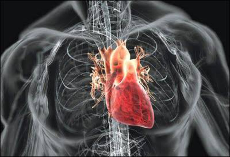 Health heart diet
